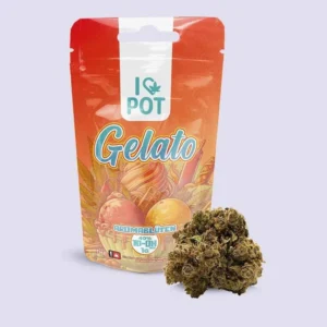 10-OH-HHC Flower V2 Gelato