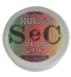 SeC Hulas Fruchtpunsch